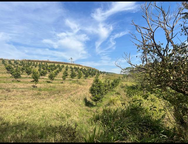 200,000M² VACANT LAND FOR SALE IN FAIRVIEW ESTATES